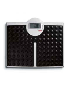 Seca 813 Personal Scale