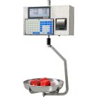 Helmac GPE6 Retail Hanging Scales