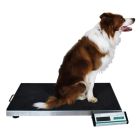 dog scale